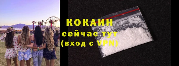 винт Ладушкин