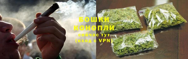 трава Лабытнанги
