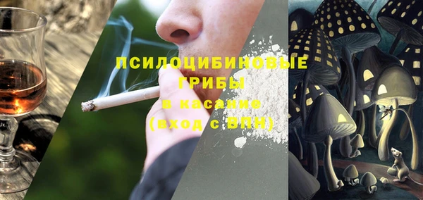 трава Лабытнанги