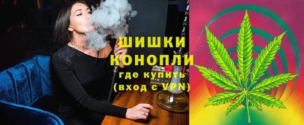трава Лабытнанги